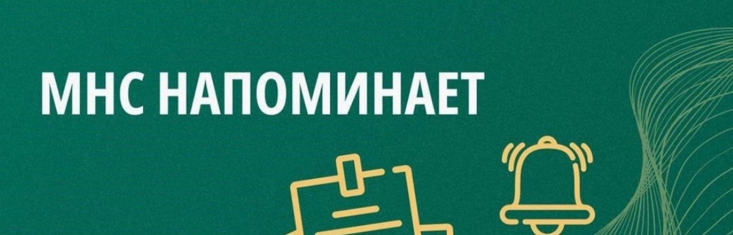 Инспекция Министерства по налогам и сборам по Могилевской области напоминает!